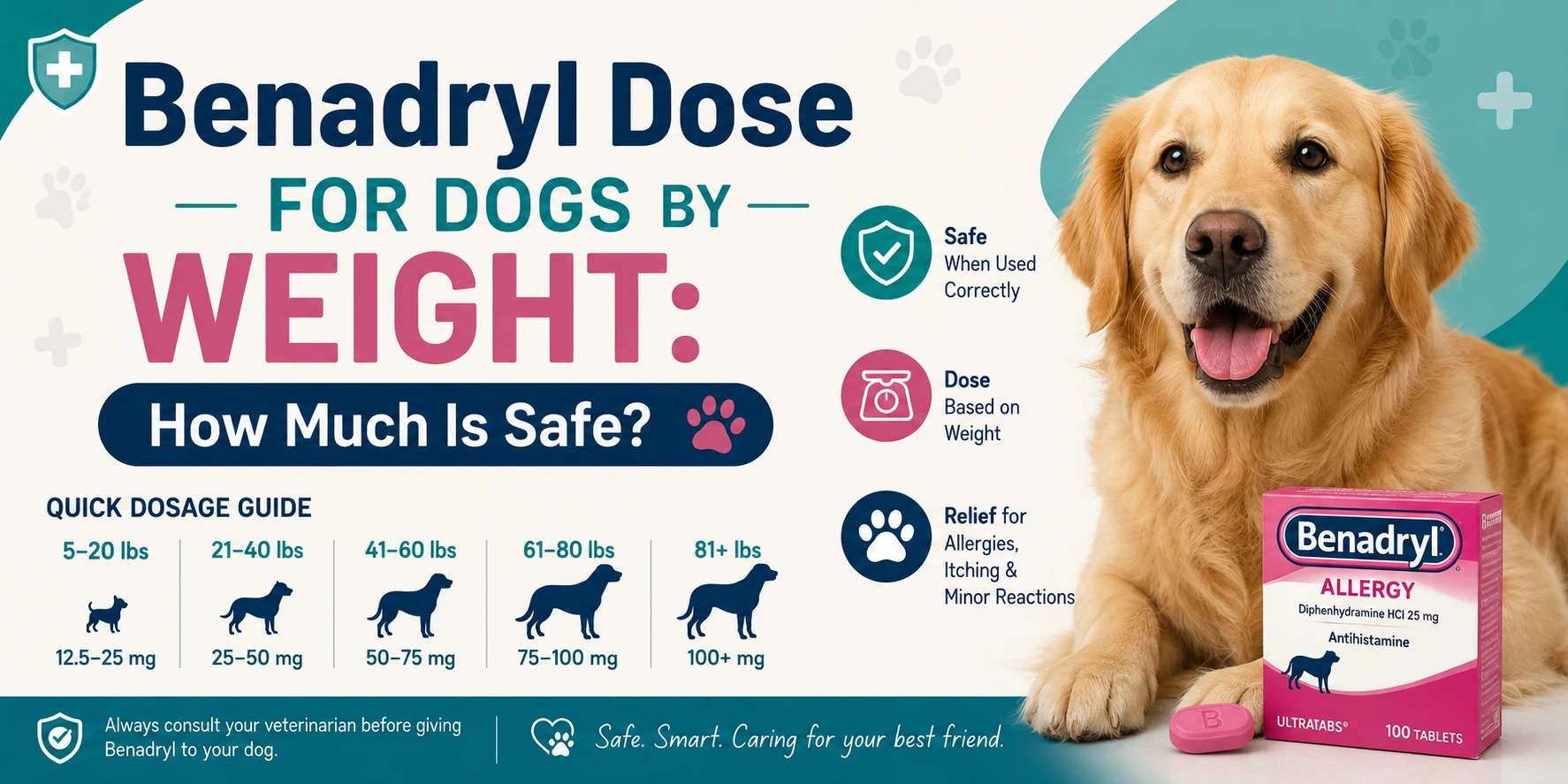 Benadryl Dose for Dogs by Weight: How Much Is Safe?